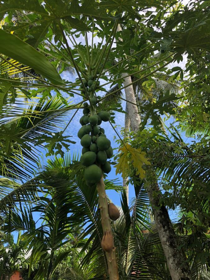 New Raya - Nias Beach Bungalows Lagudri Esterno foto